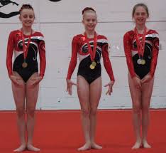 Image result for Appley Bridge Gymnastics Club