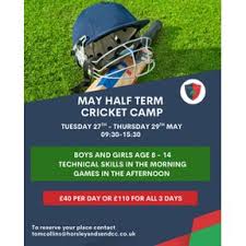 Image result for Horsley & Send Cricket Club