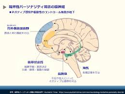 Image result for 衝動制御障害BPD