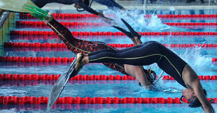 Image result for Swansea Finswimming Club