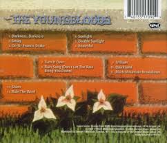 Attēlu rezultāti vaicājumam “Diderma montanum var. album young”