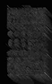 Attēlu rezultāti vaicājumam “Arcyria, Heterotrichia sp.”