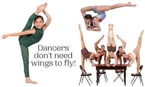 Image result for Elements Acro