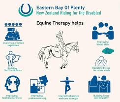 Image result for Riding For The Disabled