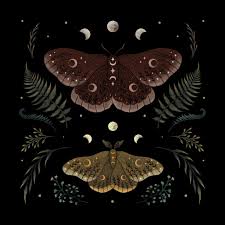 Attēlu rezultāti vaicājumam “Saturnia pavonia female”