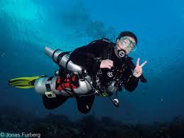 Image result for Dive Crew Scuba Diving