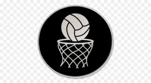 Image result for Icons Netball Club