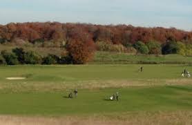 Image result for Clandon Regis Golf Club Ltd
