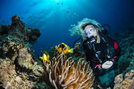Image result for World Divers