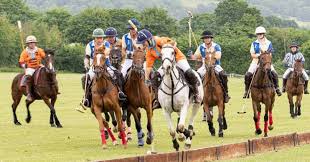 Image result for Taunton Vale Polo Club