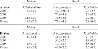 Attēlu rezultāti vaicājumam “Populus x lettland”
