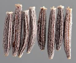 Attēlu rezultāti vaicājumam “Senecio viscosus fruit”