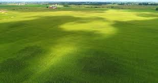 Attēlu rezultāti vaicājumam “Cloud Shadows”