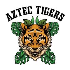 Image result for Thames Valley Tigers Basketball Team