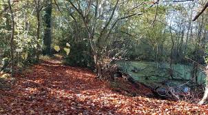 Image result for The Polytechnic Rambling Club