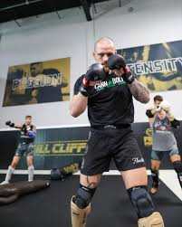 Image result for Wolverine MMA