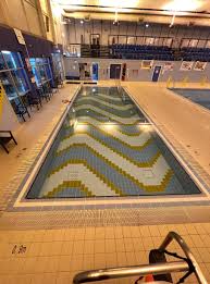 Image result for Stevenage Swimming Club