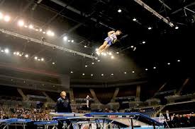 Image result for Alpha Trampoline Club