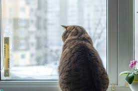 Image result for Приметы