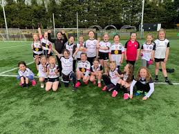 Image result for St Peter`s Gaa