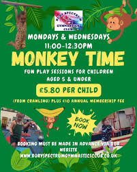 Image result for Bury Spectrum Gymnastics Club