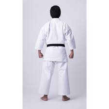 Image result for Karate Wado Kai
