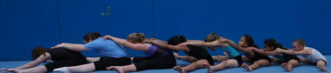 Image result for Wolverhampton Gymnastics Club