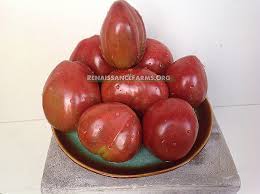 Afbeeldingsresultaat voor black oxheart tomato