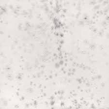 Image result for white rabbit skin texture