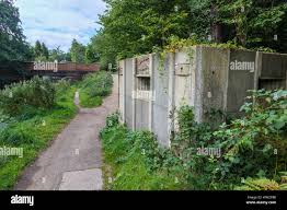 Image result for Basingstoke Bullets