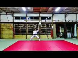 Image result for enpi dojo