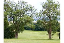 Image result for Tilsworth Golf Club