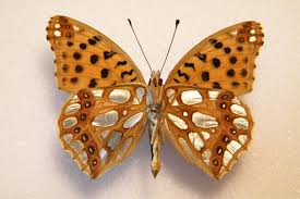 Attēlu rezultāti vaicājumam “Issoria lathonia”