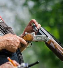 Image result for Gunners Pigeon Shooting Club
