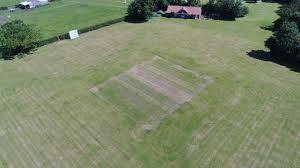 Image result for Scruton Cricket Club