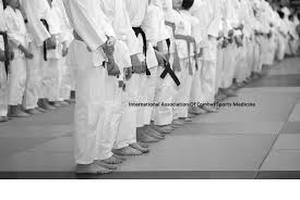 Image result for Association Of Sport Martial Arts