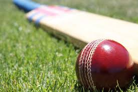 Image result for Over Stowey Cricket Club