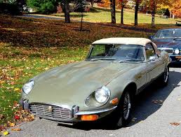 Image result for Fern Gray 1976 Jaguar