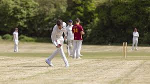 Image result for All Cannings Cricket Club