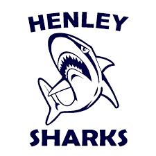 Image result for Henley Netball Club