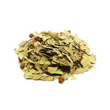 Attēlu rezultāti vaicājumam “Arctostaphylos uva-ursi fruit”