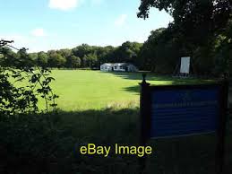 Image result for South Weald Cricket Club