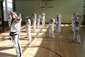 Image result for Bytomic Tae Kwon Do Beaconsfield