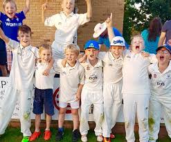 Image result for Wollaston Cricket Club
