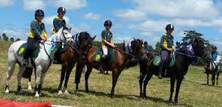 Image result for Thames Valley Riding Club