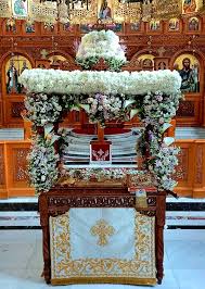 Attēlu rezultāti vaicājumam “Epirhoe tristata”