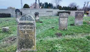 Image result for sényő