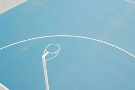 Image result for Brighton Netball Club