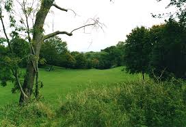 Image result for Bristol Lawn Tennis & Squash Club