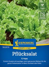 Image result for Pflücksalat